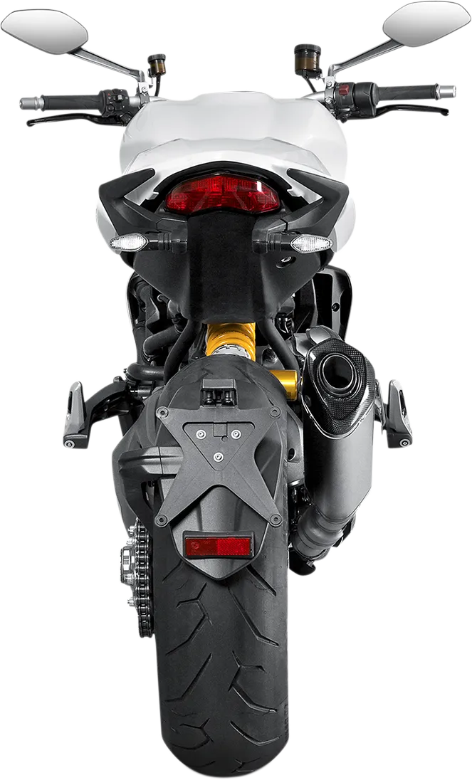 AKRAPOVIC Slip-On Line Muffler - Titanium Monster 821/1200 S-D12SO3-HRT 1811-2755